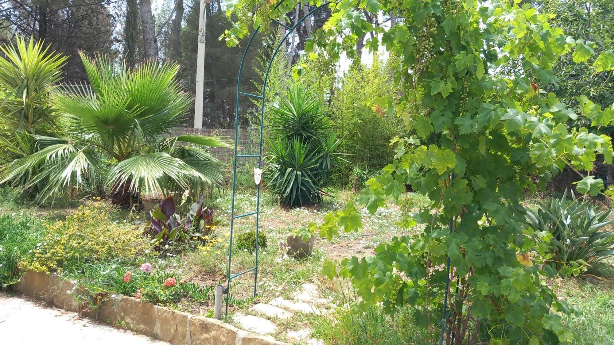לה קיוטאט Villa Magali Grande Terrasse Vue Mer, Jardin, Proche Port מראה חיצוני תמונה