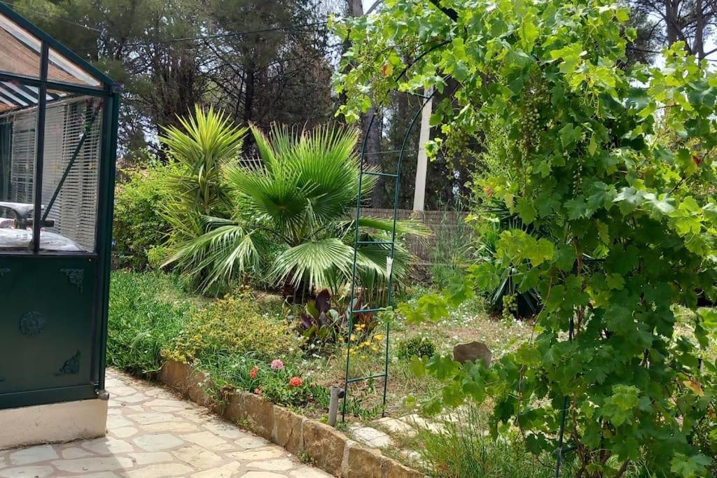 לה קיוטאט Villa Magali Grande Terrasse Vue Mer, Jardin, Proche Port מראה חיצוני תמונה