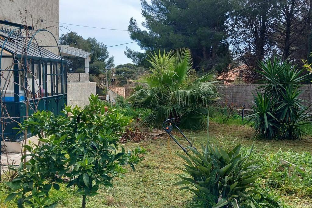 לה קיוטאט Villa Magali Grande Terrasse Vue Mer, Jardin, Proche Port מראה חיצוני תמונה